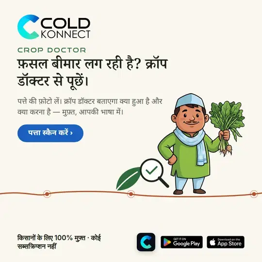 Crop Doctor poster in Hindi: take a photo of the leaf and ask Crop Doctor