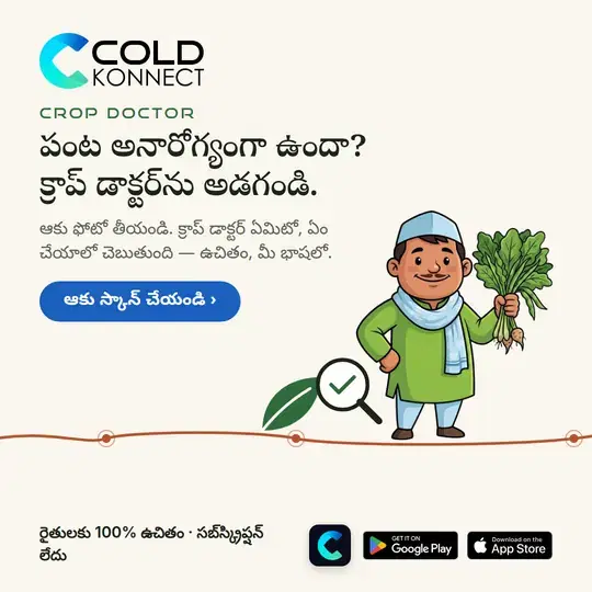 Crop Doctor poster in Telugu: take a photo of the leaf and ask Crop Doctor