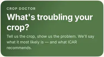 Crop Doctor card from the app: What's troubling your crop?