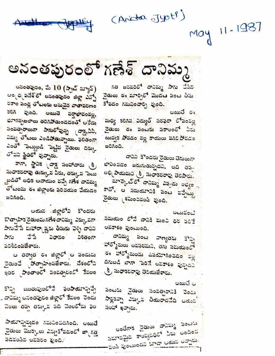 "Anantapuramlo Ganesh Danimma" — Ganesh pomegranate arrives in Anantapur