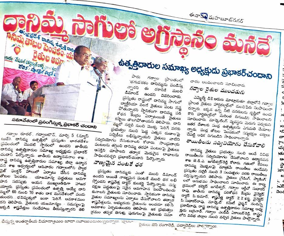 "Danimma sagulo agrasthanam manade" — Mahabubnagar leading pomegranate cultivation
