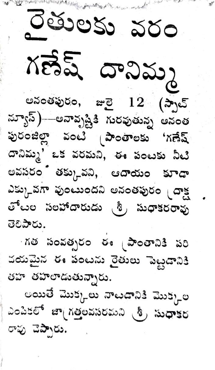 "Raithulaku Varam Ganesh Danimma" — Ganesh pomegranate is a boon