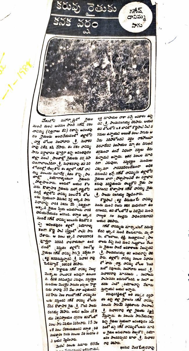 Press clipping — drought-area horticulture