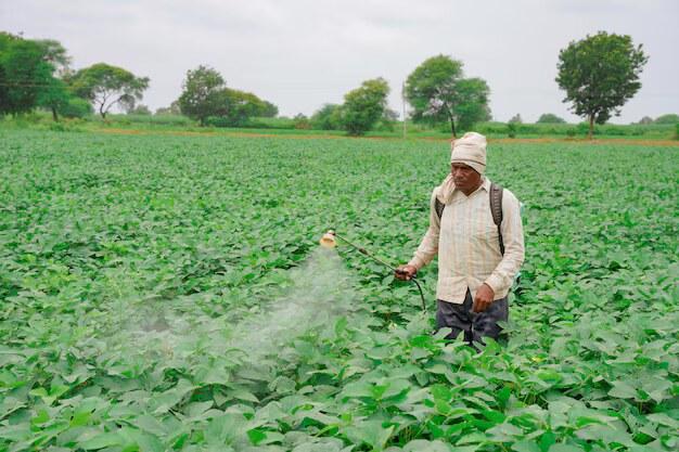 Farm inputs — fertiliser, seeds, equipment