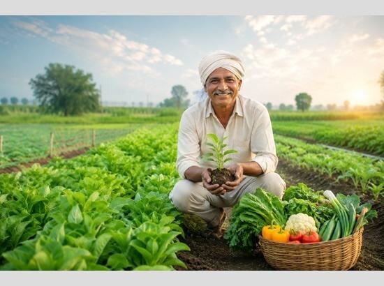 A mixed-crop farmer with a sapling