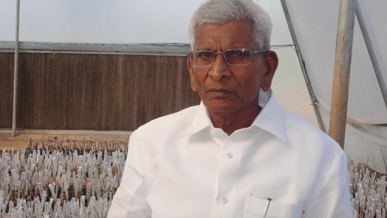 P. Sudhakar Rao